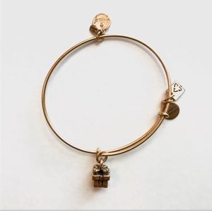 Alex and Ani Present Charm Bracelet
